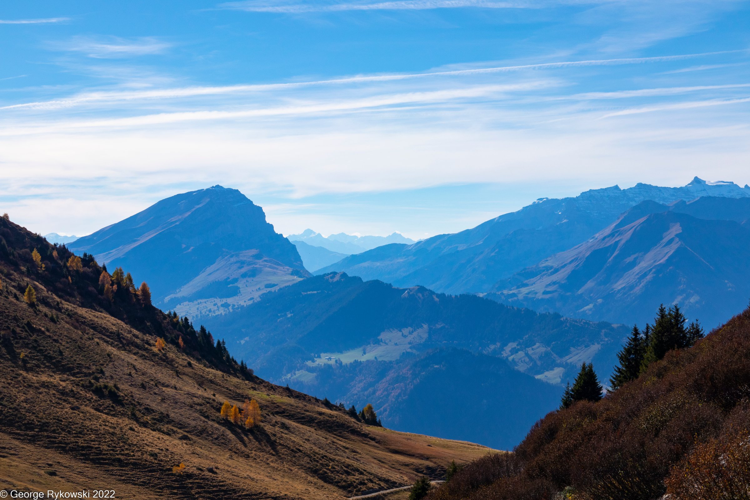 SwissVacation2022-2795.jpg