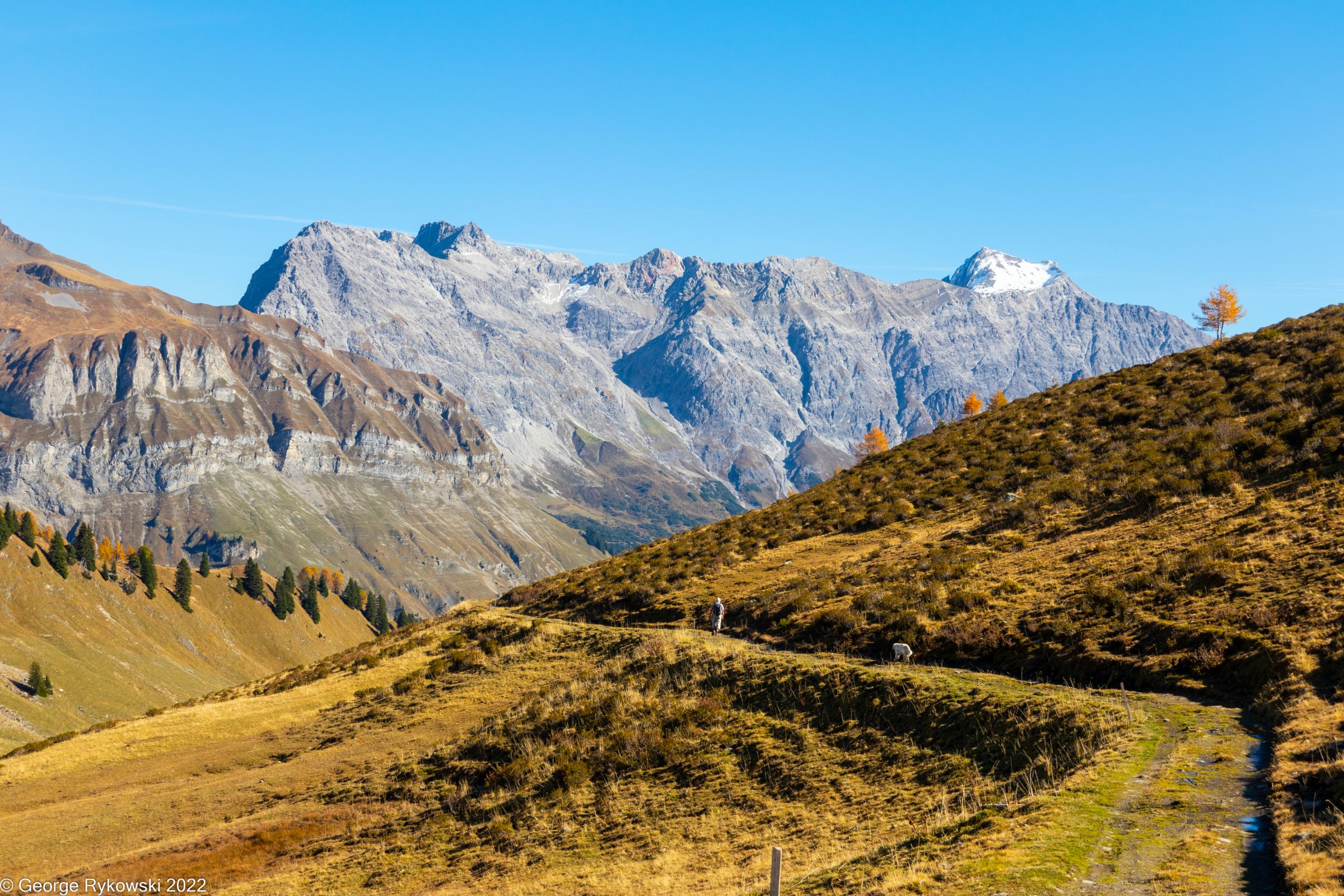 SwissVacation2022-2776.jpg