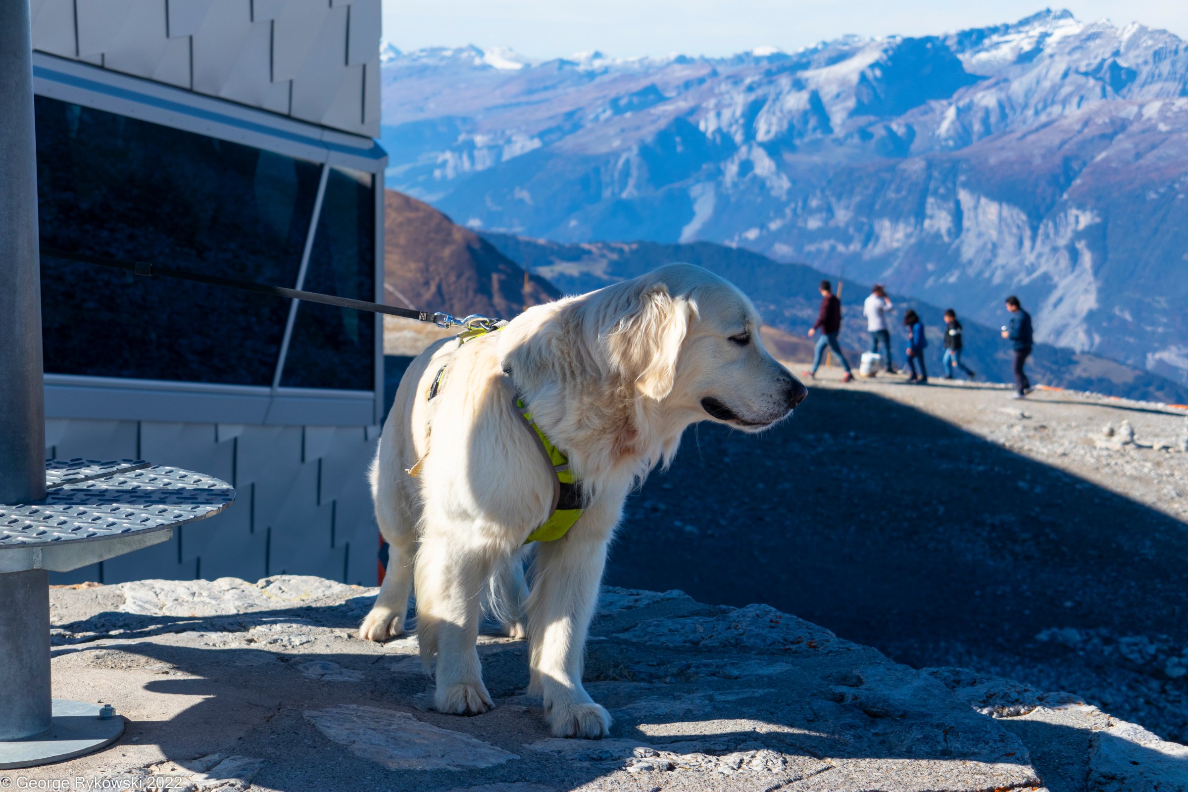 SwissVacation2022-2868.jpg