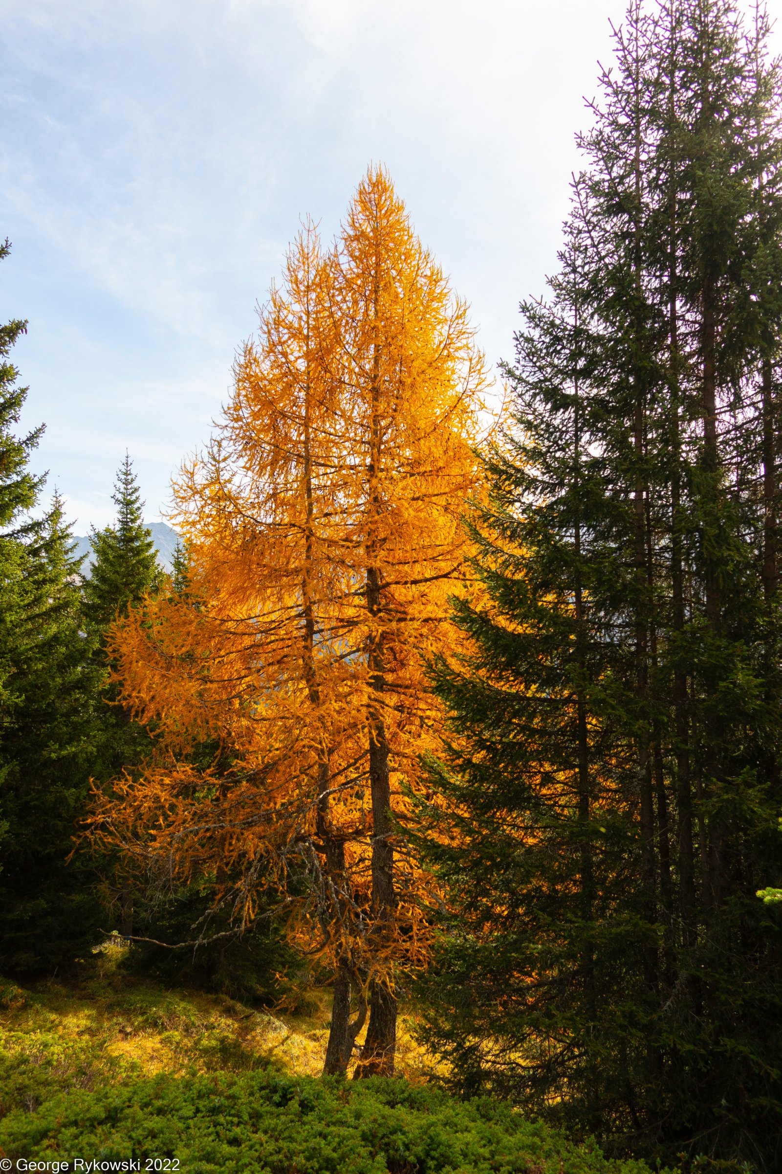 SwissVacation2022-2929.jpg