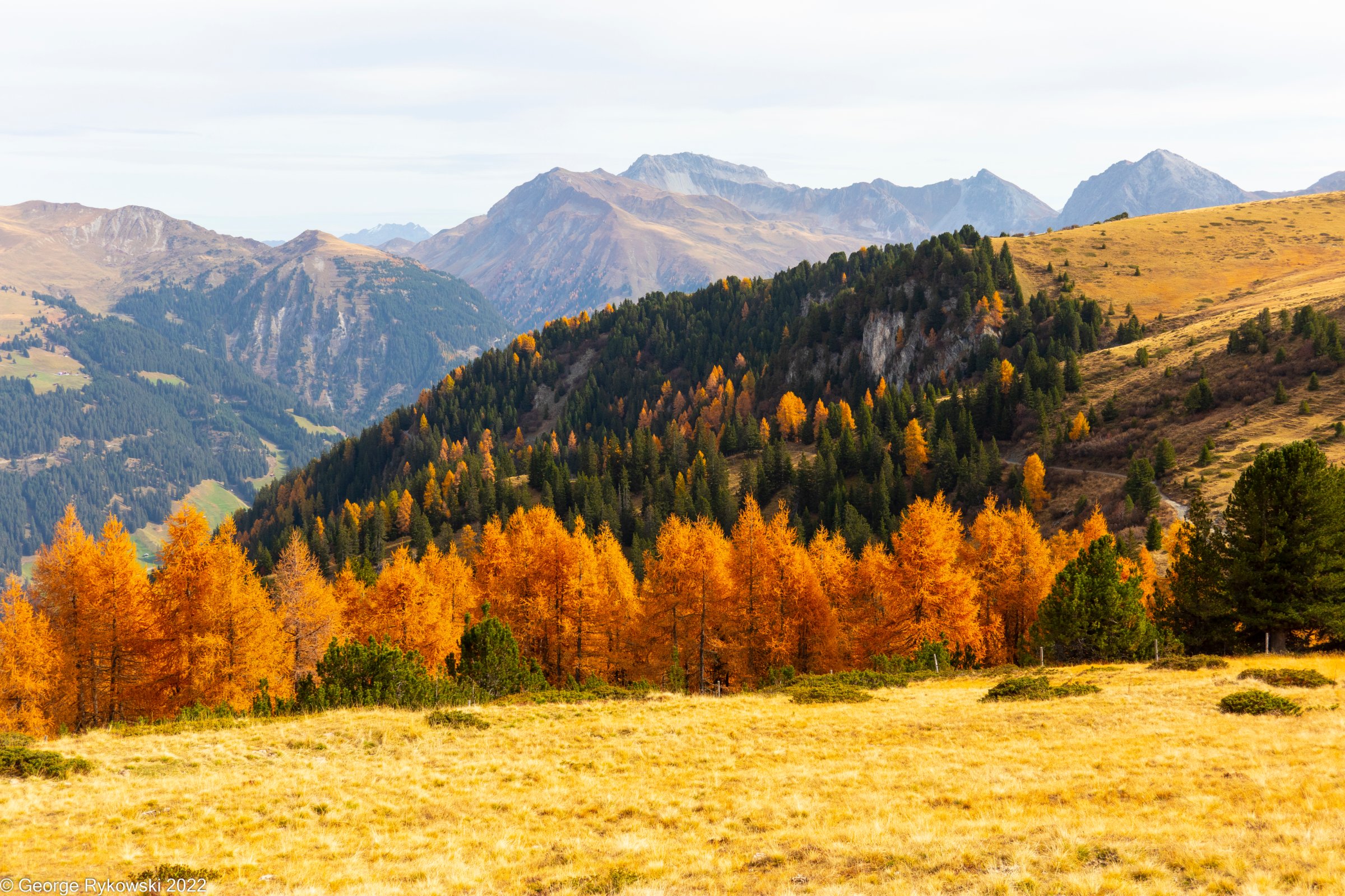 SwissVacation2022-2943.jpg