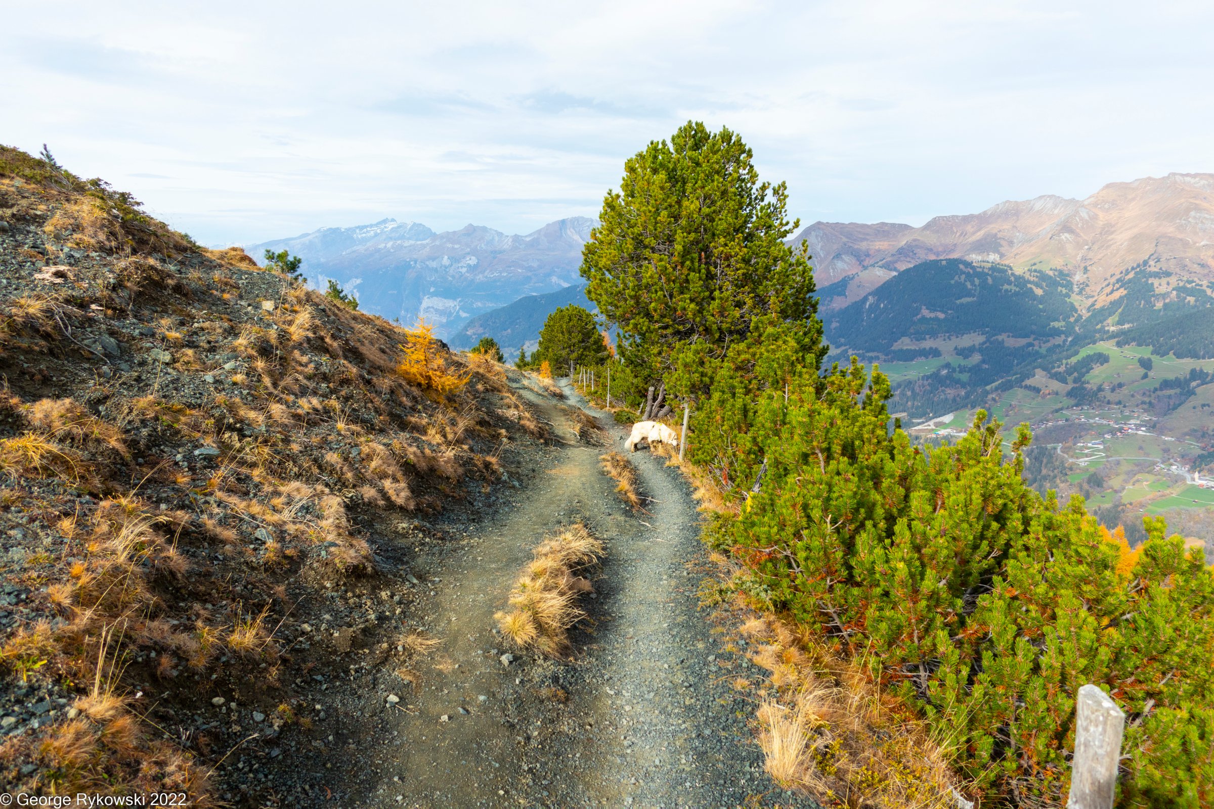 SwissVacation2022-2945.jpg