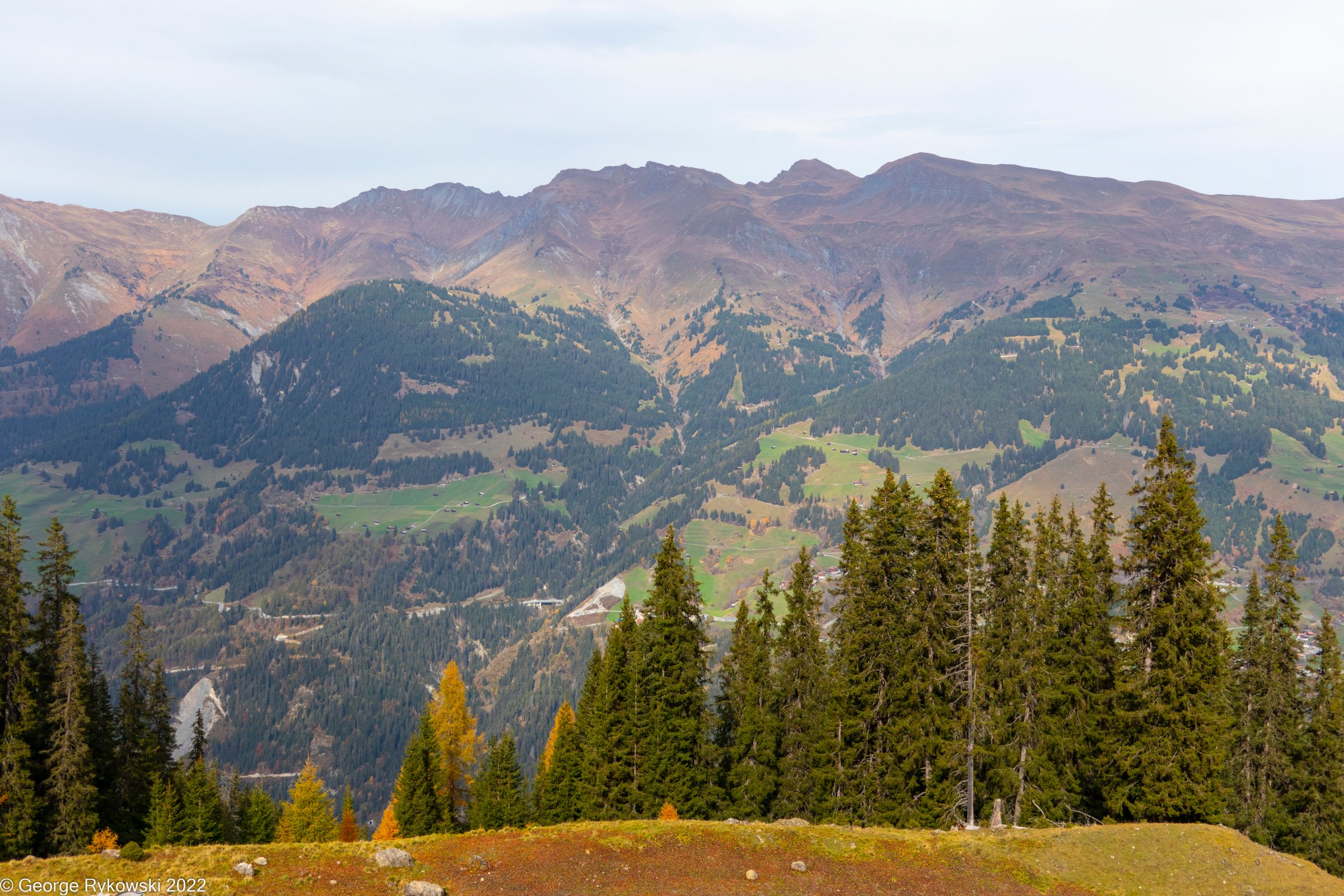 SwissVacation2022-2954.jpg