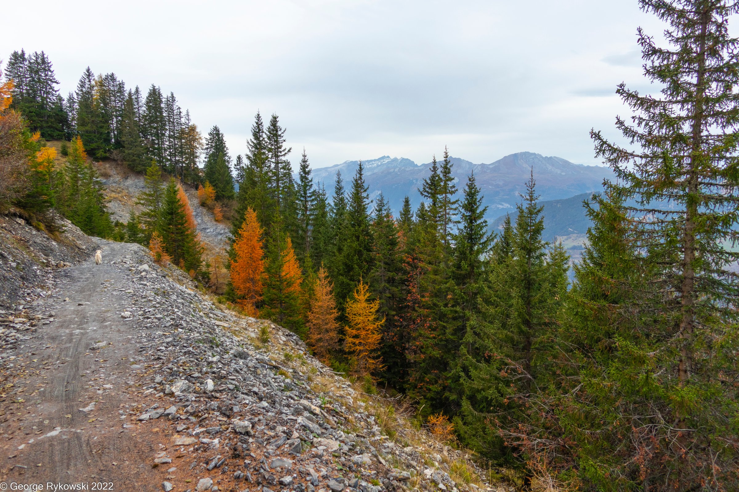 SwissVacation2022-2955.jpg