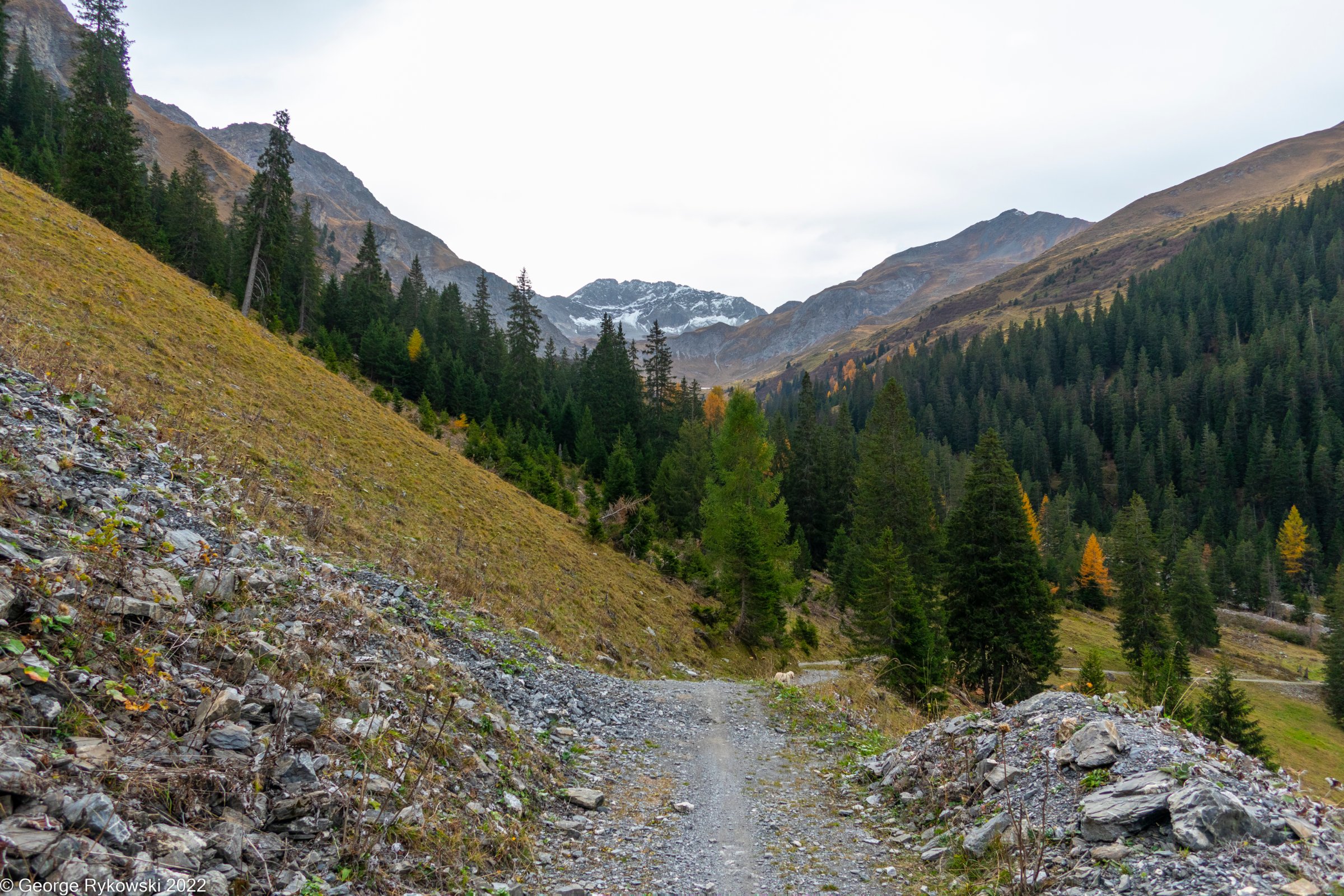 SwissVacation2022-2957.jpg