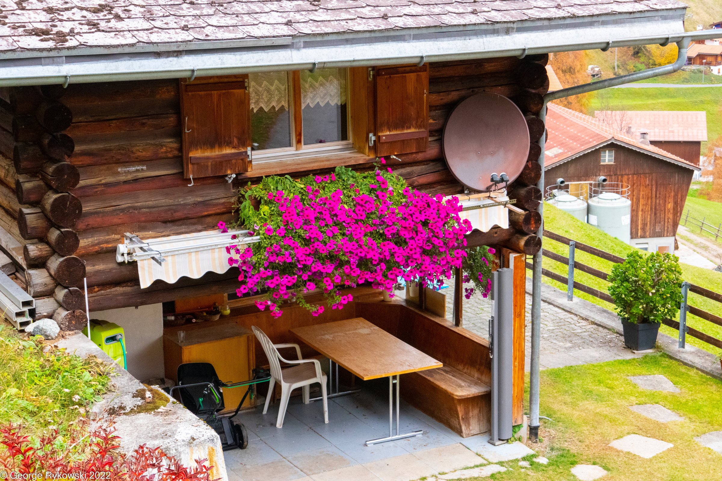 SwissVacation2022-2967.jpg