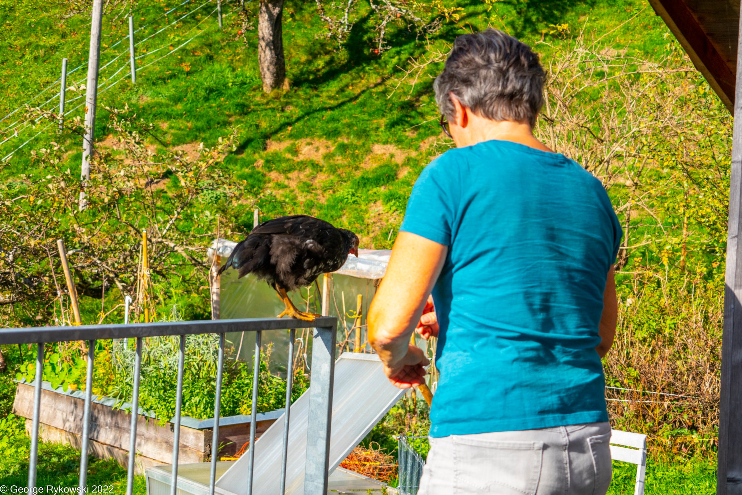 SwissVacation2022-2978.jpg
