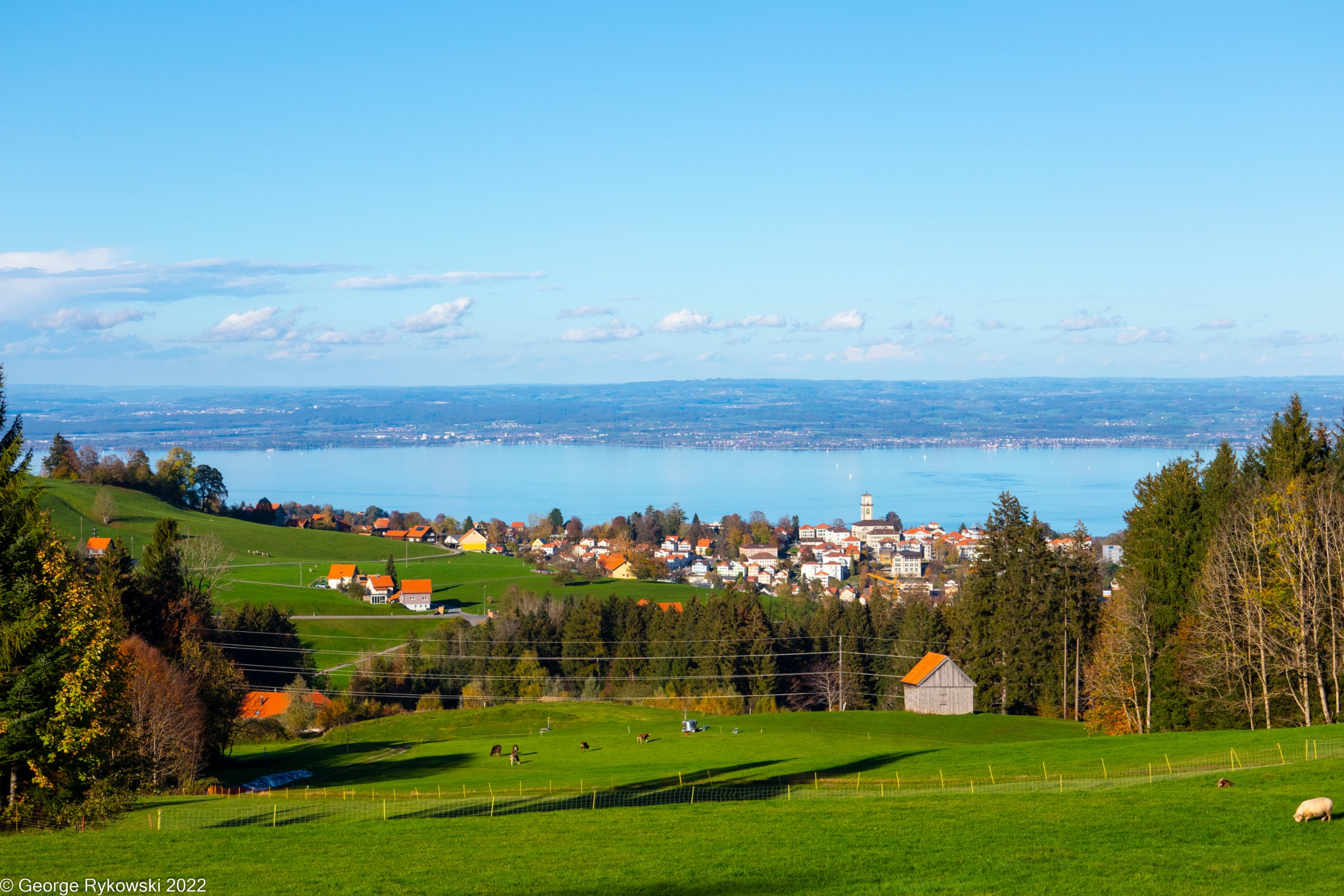 SwissVacation2022-2981.jpg
