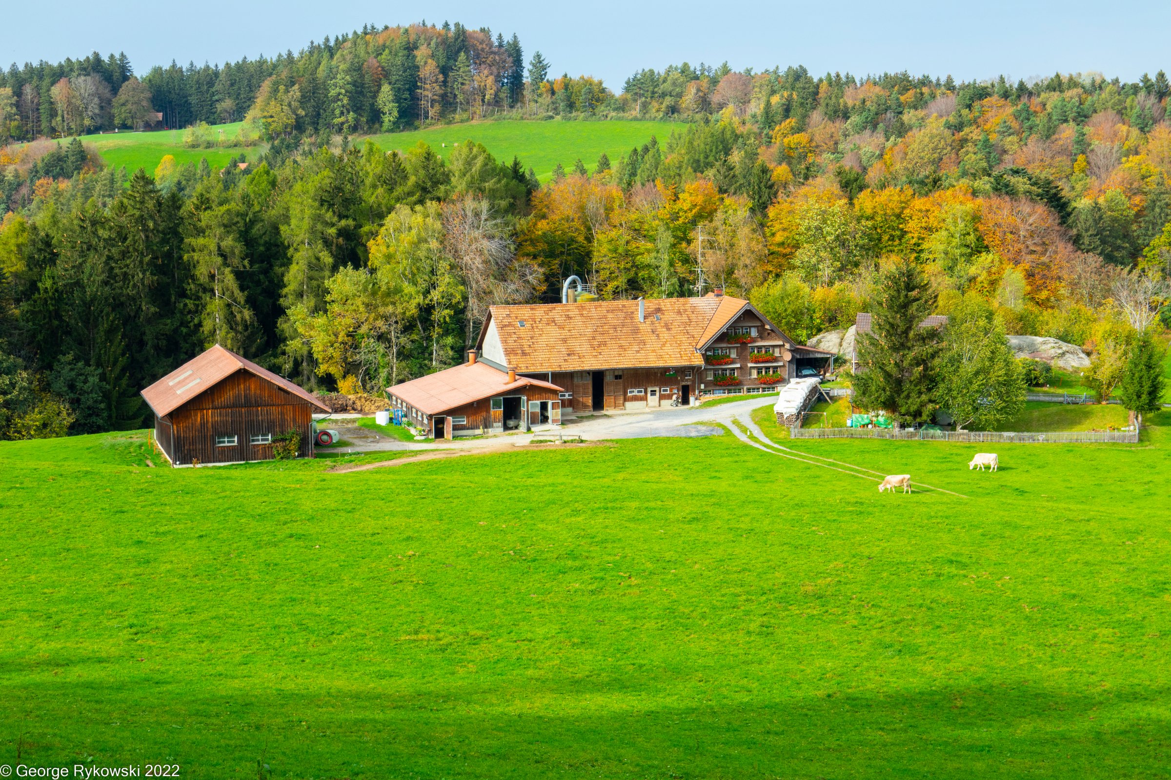 SwissVacation2022-3002.jpg