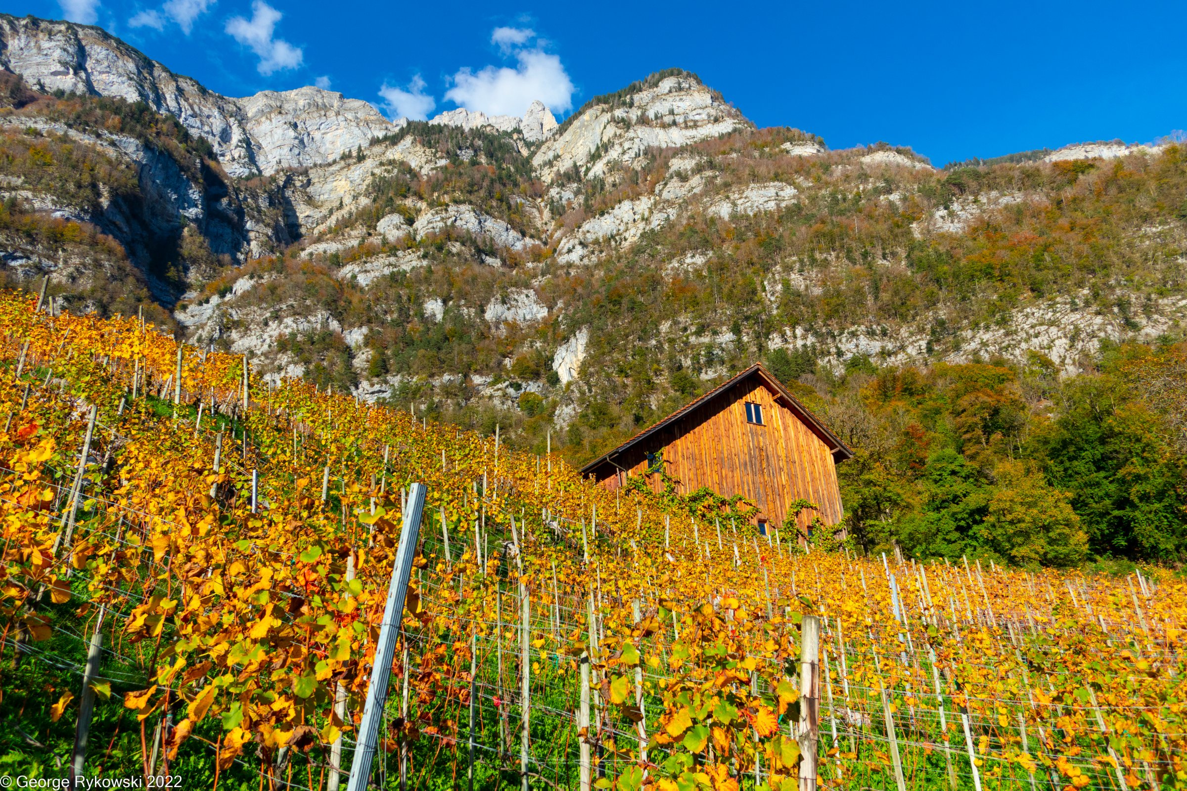 SwissVacation2022-3106.jpg